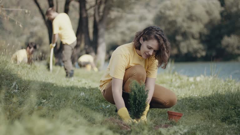 Best Soil Testing and Treatment  in Gainesville, FL